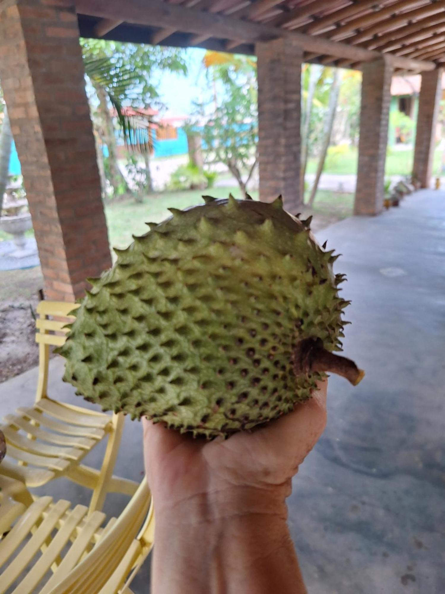 Casas Lindas No Paraiso! Costa Dourada المظهر الخارجي الصورة