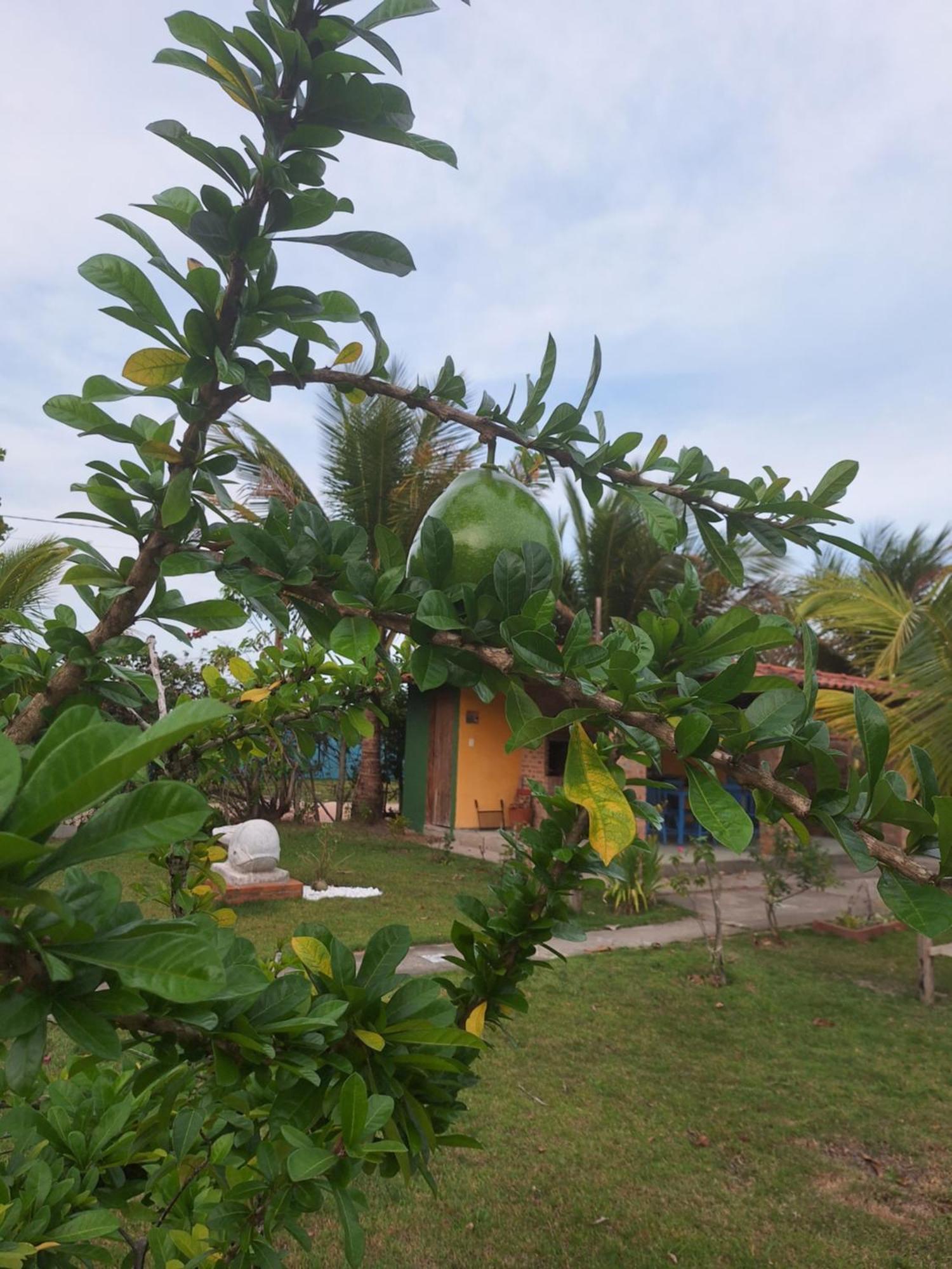 Casas Lindas No Paraiso! Costa Dourada الغرفة الصورة